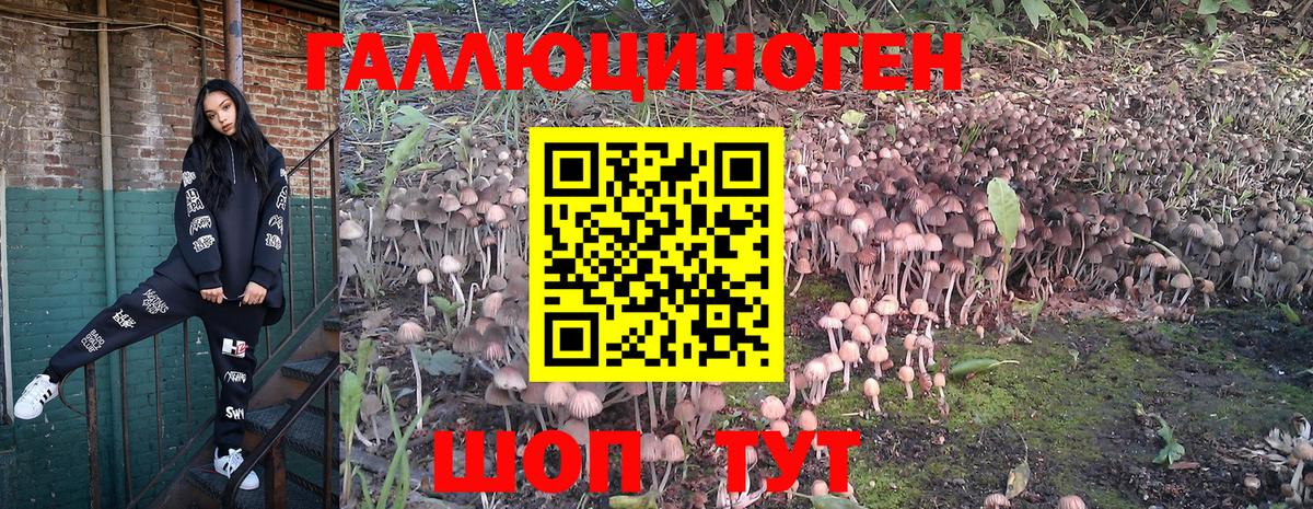 Псилоцибиновые грибы прущие грибы Иваново